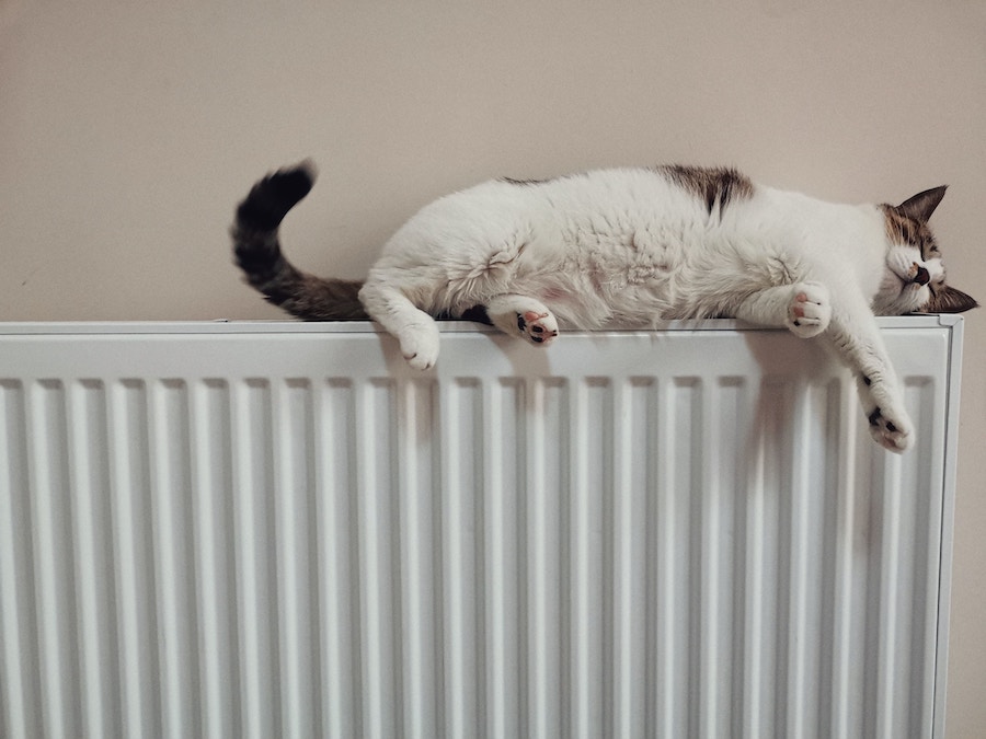 A cat lying on a radiator
