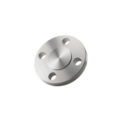 Stainless Steel Flanges